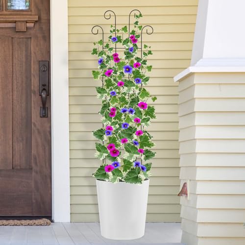 4 Pack 32'' Wave Shape Black Metal Trellis for Climbing Plants Indoor & Outdoor, Garden Trellis for Houseplants Flowers Vine Ivy - size: 32'' Wave Shape