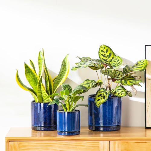 vancasso Ceramic Plant Pots, 3 Piece Planters for Indoor Plants, Blue - color: Blue