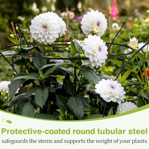 2 Pack Large Peony Cages and Supports, 38" H x 19" D Tall Heavy Duty 5mm Black Metal Garden Stakes for Outdoor & Indoor Plants, Sturdy Rust-Resistant Frame for Peonies Roses Flowers - size: 2 Pack