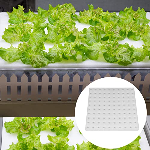 200 Pack Hydroponic Sponge Planting Tool Square Seedling Sponges Greenhouse Hydroponic Sponge Hydroponic Vegetable Planting Sponge for Small Bud Growth
