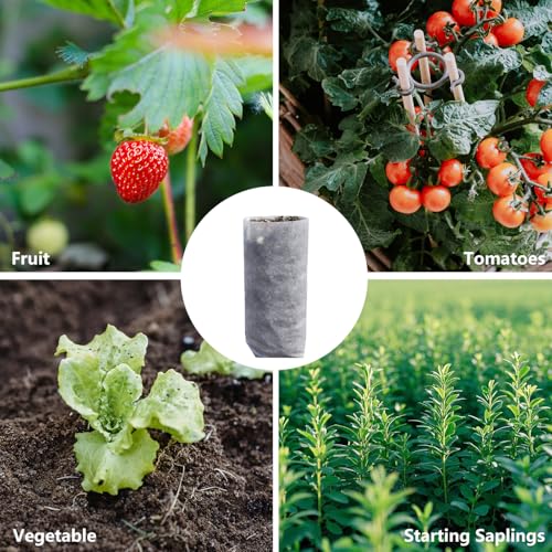 Belit 50 Pcs 10.2" H Deep Nursery Grow Bags, Non-Woven Plants Pots Container for Starting Rooted Plants Vegetable, Flower, Seedling Tree - color: White, size: 50 Pcs 7.5"x10.2"