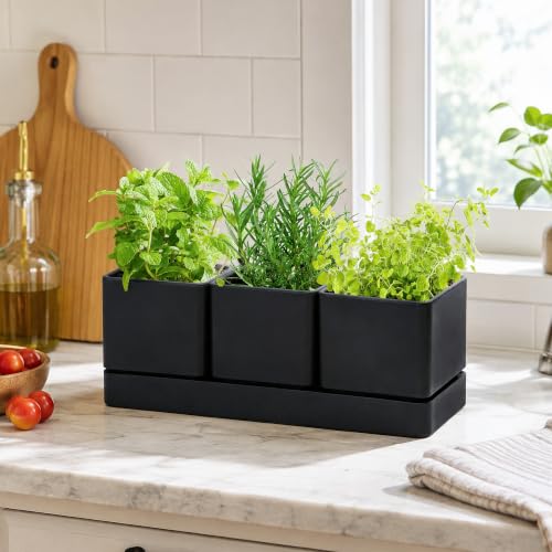 D'vine Dev 2-Pack Plastic Herb Garden Planter Set, Black, 76-V-B-2 - color: Black, size: 24"