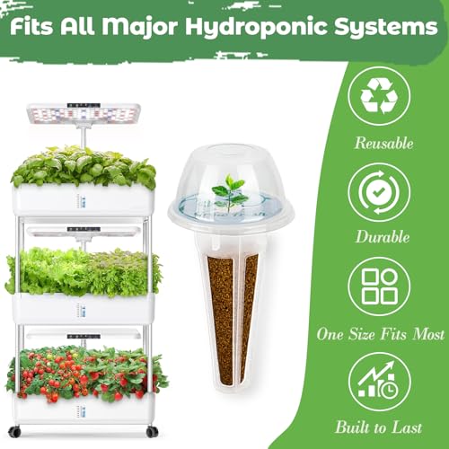 Herb Seed Pod Kit for AeroGarden, idoo, Ahopegarden, MUFGA Hydroponics Garden with Genovese Basil, Thai Basil, Thyme, Cilantro, Peppermint, and Arugula - Compatible with All Hydroponics (8-Pod) - color: Herbs
