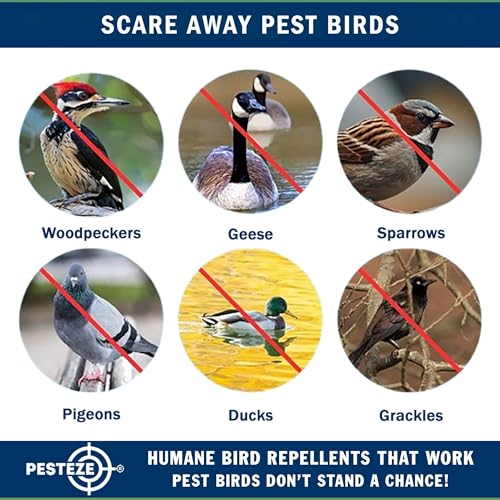 PESTEZE USA Bird Deterrent Reflective Tape–Dual-Sided Holographic Bird Scare Ribbon (1in x 295ft) for Yards, Gardens & Buildings to Repel Nuisance Birds Like Pigeons, Woodpeckers & Geese Without Harm
