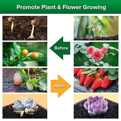 SANSI LED Grow Lights for Indoor Plants, Lifetime Free Bulb Replacement - size: 3 Head 1 Pack