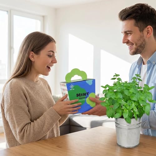 Mint Grow Kit - Indoor Herb Garden Kit with Planter, DIY Kitchen Herb Planting Kit, Grow Fresh Mint at Home for Tea, Drinks & Cooking, Beginner Friendly Gardening Gift