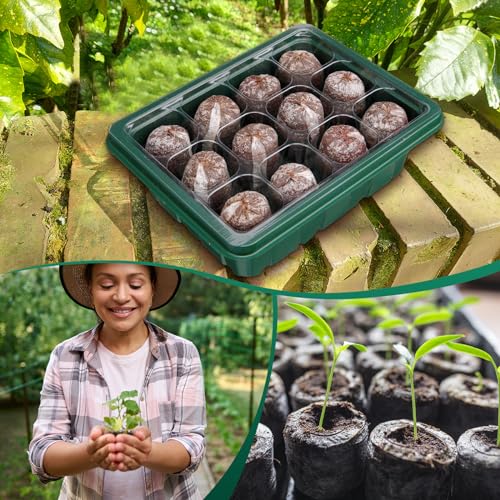 SiliFine 6 Pack Seed Starter Tray with 72 Pcs Peat Pellets, Seeding Starter Kit (72 Cells Total Tray) with Humidity Dome, Soil Plant Germination Tray Kit for Flower Vegetable(Black, Green) - color: Black, Green