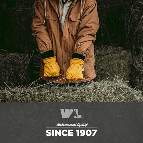 Wells Lamont Men's Insulated HydraHyde Work Gloves, Grain Cowhide, Medium - size: Medium, style: Glove