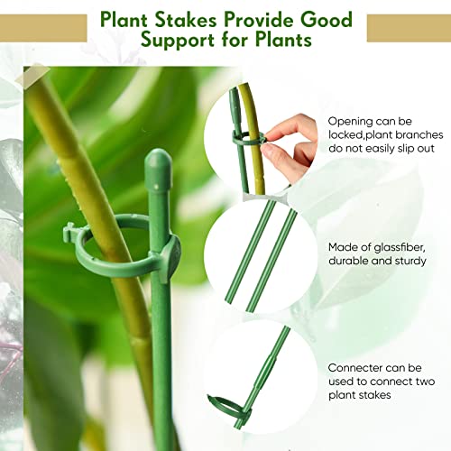 meekoo 30 Pcs 12 Inch Adjustable Plant Support Stakes for Indoor, Green