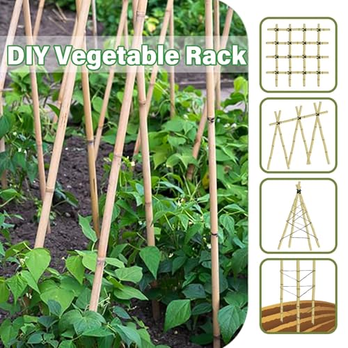 Natural Bamboo Plant Stake, (4FT 30Pcs) Sturdy Bamboo Poles, Durable Plant Bamboo Stake, Garden Climbing Plant Bracket. - size: 4ft-30PCS