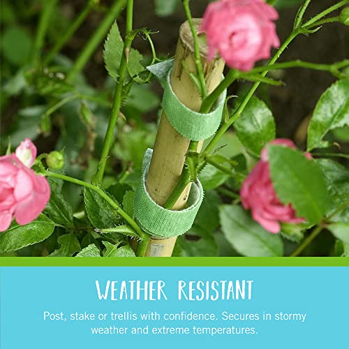 VELCRO Brand ONE-WRAP Plant Ties, 45 Count, 8 in x 1/2 in, Green - size: 8 in X 1/2 in