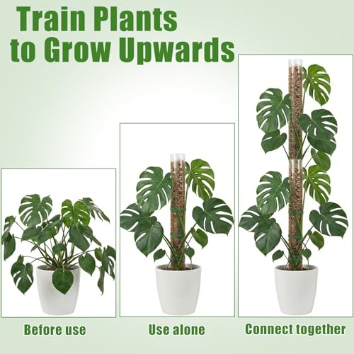 6 Pcs Plastic Moss Pole for Monstera 6×24'' Plant Poles for Climbing Plants Shaped Plant Support Indoor Use with Sphagnum Moss for Climbing Plants Work 24 Inch