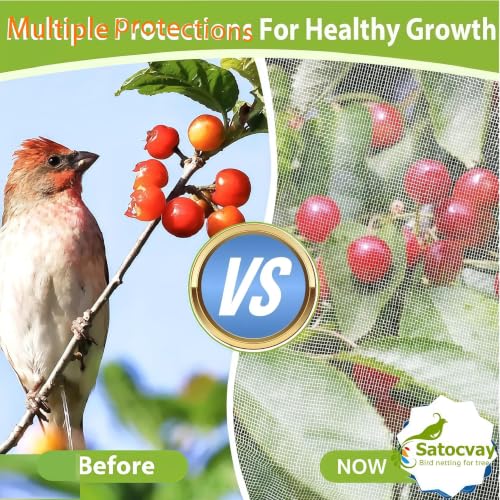 Extra Large 1Pack 18×20Ft Fruit Tree Netting with Drawstring & Zipper - Reusable Plant Protection Bag, Heavy Duty PE Mesh Cover for Blueberry Bushes - Blocks Birds/Deer/Squirrels - size: 18×20Ft