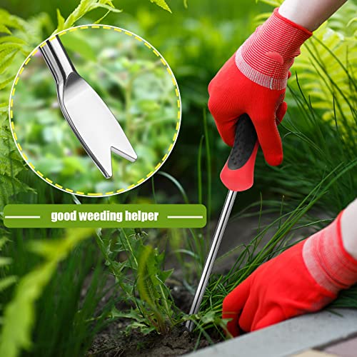 CHENGU 2 Pack Dandelion Weeder Tool with Handle, Polished Aluminum Alloy Weed Puller, Two-Pronged Fork Weeder Tool for Lawn Yard Farmland Gardening Transplant Plant