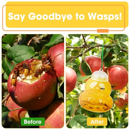 2 Pack Reusable Wasp Traps Outdoor Hanging - color: yellow