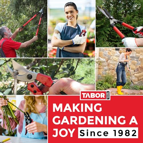 TABOR TOOLS GG21A Extendable Bypass Lopper with Compound Action, 27-40 Inch Telescopic Tree Trimmer & Branch Cutter, Long Reach Tree Pruner with 1 1/2 Inch Cut Capacity, Makes Clean Neat Cuts - style: GG21A 27"-40" Extendable Bypass Lopper with lever