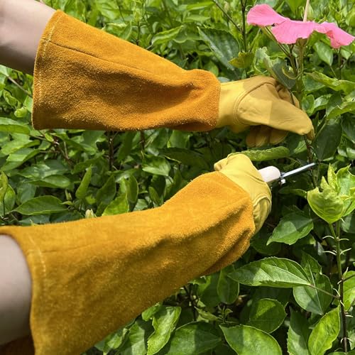 Thorn Proof Gardening Gloves, 100% Cowhide Comfortable Breathable for Rose Pruning, Cactus Handling and Gardening - size: Medium(1 pair)