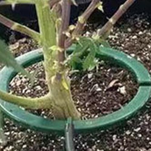 Drip Irrigation Ring, Halo Water Ring, drip Head Ring, Garden drip Irrigation Watering Ring, Plant Watering drip Water Distribution Ring, Ideal Water Distribution - size: 5 inches
