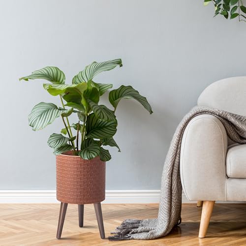 D'vine Dev Planter Pot with Wood Stand, 10 in, Terra Cotta, 88-Z-B-3 - color: Terra Cotta, size: Medium
