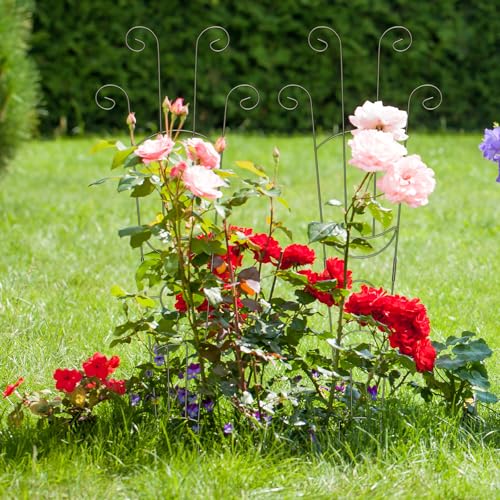 2 Pack Taller Plant Trellis for Climbing Potted Plants Indoor & Outdoor