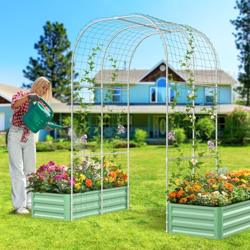 DoCred 3 in 1 Raised Garden Bed with 87"H Arch Trellis 4x2x1 Ft (Rectangle) - color: Green