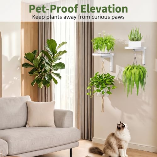 LASZOLA Plant Hanger Holder Shelf Wall Indoor with Lights, 2 Pcs White - color: White, size: 2