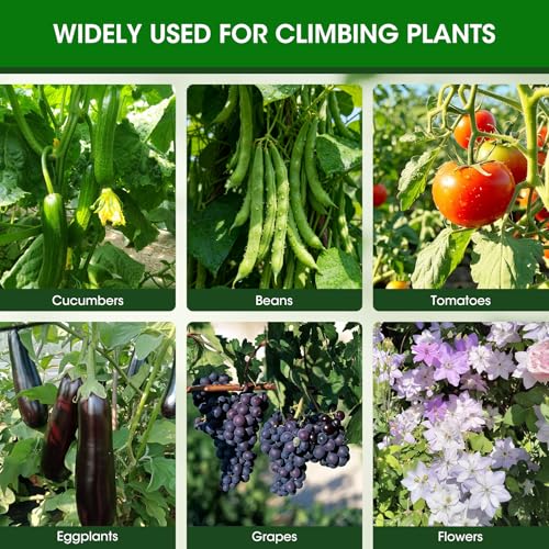6 Pack Tomato Cages, 41.7" H Square Tomato Plant Stakes Support Cages Trellis for Garden Climbing Vegetables Flowers Fruits,Extra Bold - style: 6 Pack
