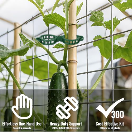 300Pcs Thickened Tomato Clips, Plant Support Clips Plastic Trellis Clips - color: Green