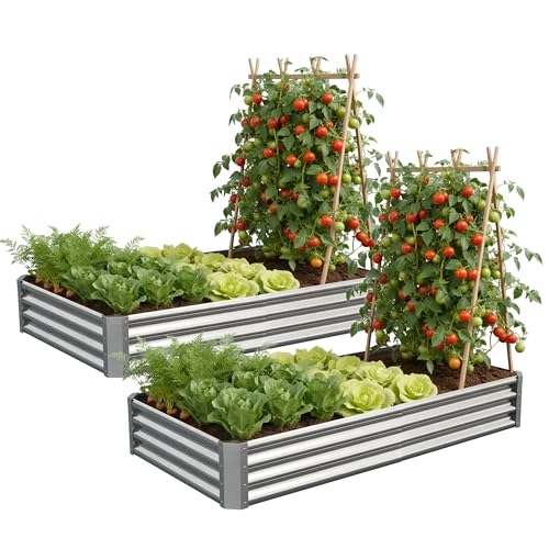 Galvanized Raised Garden Bed,Outdoor Planter Box Metal Patio Kit Planting Bed for Vegetables Flowers Herb (Galvanized, 6x3x1ft-2p) - size: 6x3x1ft-2p