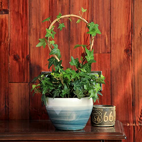 COLOtime 3Pack Small Plant Trellis Bamboo Trellis for Indoor Potted Plants - size: Round shaped, 3 Pack