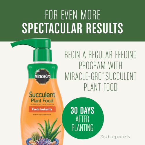 Miracle-Gro Succulent Potting Mix, 4 qt. (2-Pack) - size: 2 Pack, style: Succulent