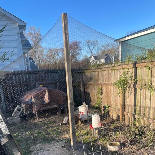 Junflying 50x50 FT Chicken Netting for Hawks & Predator Protection - size: 50x50 FT