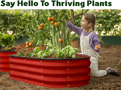 Plant & Plot Galvanized Raised Garden Beds Outdoor // 4×2×1 ft (2-Pack) Planter Raised Beds for Gardening, Vegetables, Flowers (Red) // Large Metal Garden Box - color: Red