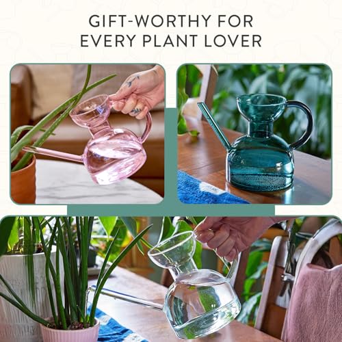 Modern Sprout Glass Watering Can - 32 oz - Long Spout Modern Decor (Teal) - color: Teal