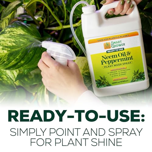 Neem Oil Spray for Plants with Peppermint Oil. Indoor & Outdoor Plant Use - size: 128 Fl Oz