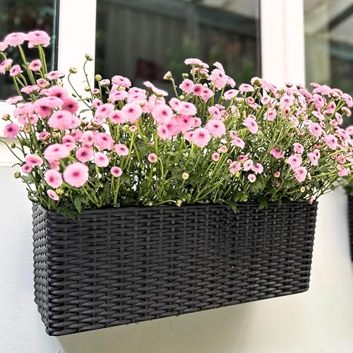 LaLaGreen Outdoor Wall Planters (20in, 4 Pack) Black Window Flower Boxes - color: Black X 4