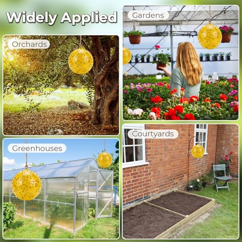 4 Pcs Large Fly Trap Balls Hanging Fly Catcher,Gnat Insect Bug - style: Gnat Insect Bug
