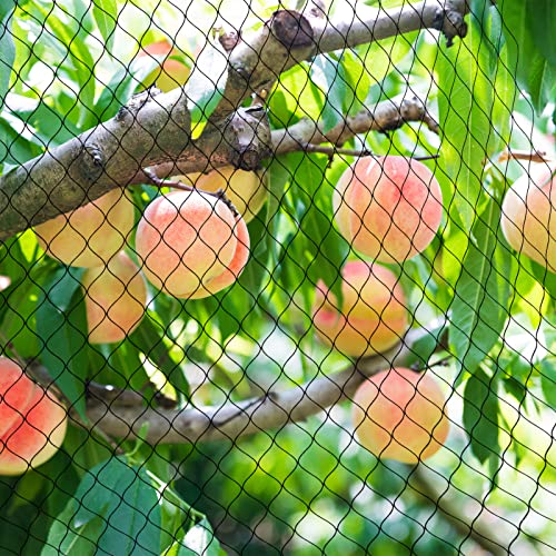 Chicken Net, 50x 100ft with 1" Square Mesh,Poultry Netting for Chicken Coop - size: 50'×100'-1''