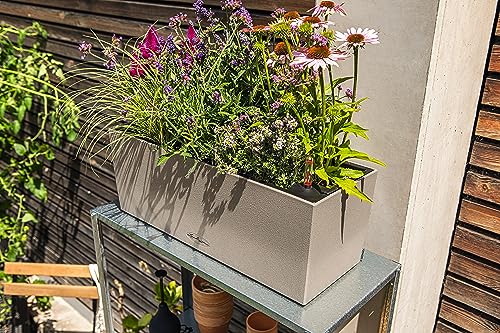 Lechuza BALCONERA Stone 50 Sand Beige, Self-Watering Window Box (Railing Planter), H7.5 L19.7 W7.5 in - color: Sandy Beige, style: 50