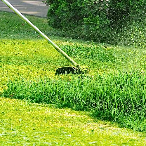 YWTESCH 10 Pack AF-100 Weed Eater String for Black and Decker, 0.065" 240ft