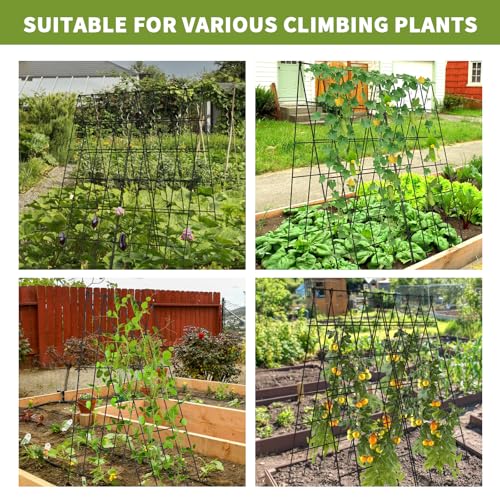 Cucumber Trellis 2 Pack,Foldable A-Frame Garden Trellis - color: Steel Black, size: 39.4" H
