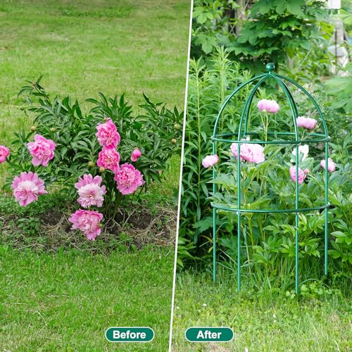 DoCred 6 Pack Peony Cage, 15.7" x 31.5" Metal Plant Support Garden Trellis - color: Green, size: 31.5"H x 15.7"W/6PC