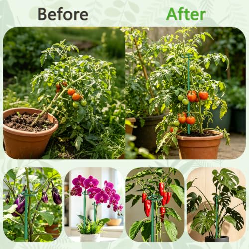 4Pcs Telescoping Plant Stakes 12.5-48.4IN Adjustable Monstera Plant Support - size: 4PCS