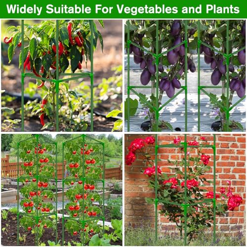 4 Pack Tomato Cages for Garden, Tomato Cage Trellis, Garden Cage Heavy Duty - color: 4 Pack