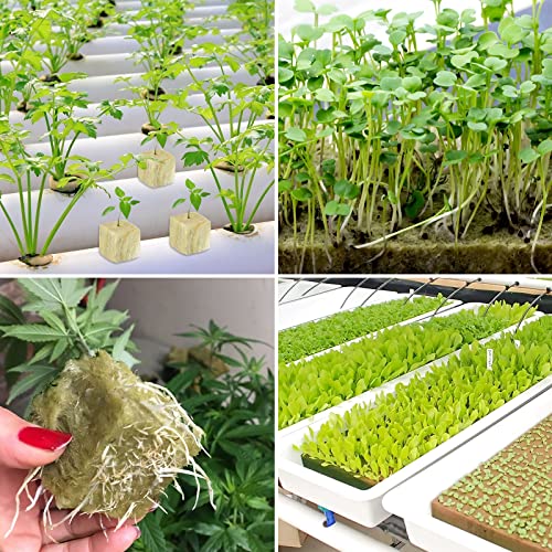 Legigo 2 Inch Rockwool Cubes Seed Starter Plugs for Hydroponics, 96 Plugs - color: 2 Sheet, size: 2" Plugs