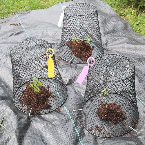 20 Pack 9.2x9.2 Inch Chicken Wire Cloche Plant Protectors from Animals - size: 20PCS-9.2"x9.2"