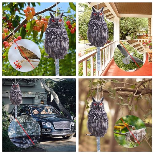 Owl Scarer for Gardens, 2Pack Fake Owl Hanging Effective Cardboard Owl Deterrent for Garden Patio Windows - color: 2 Feathered Owl02