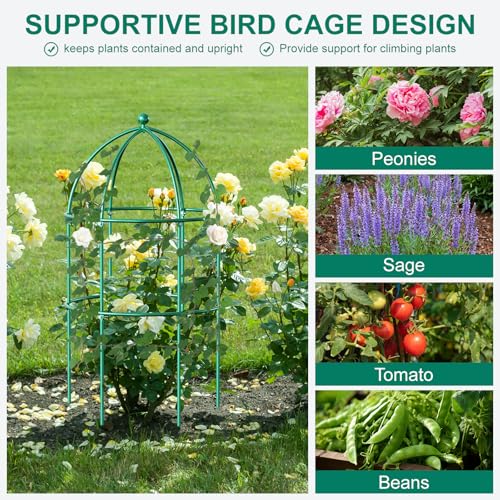 DoCred 6 Pack Peony Cage, 15.7" x 31.5" Metal Plant Support Garden Trellis - color: Green, size: 31.5"H x 15.7"W/6PC