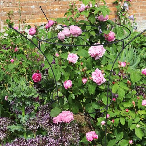 2 Pack Large Peony Cages and Supports, 38" H x 19" D Tall Heavy Duty 5mm Black Metal Garden Stakes for Outdoor & Indoor Plants, Sturdy Rust-Resistant Frame for Peonies Roses Flowers - size: 2 Pack