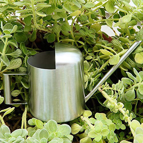 Mini Watering Can, 10oz/300ml Stainless Steel Long Spout Small Watering Can for Indoor Plants Succulents, Herbs (Silver) - color: Silver